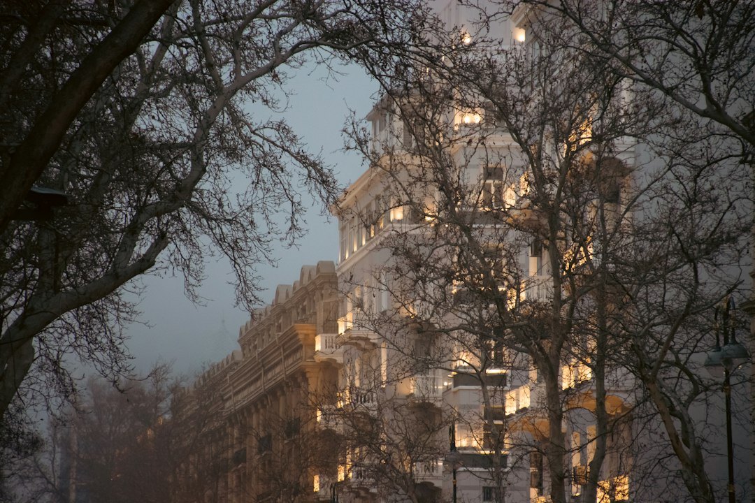 Foggy cobblestone street in the old town of Zagreb at night with a single streetlamp