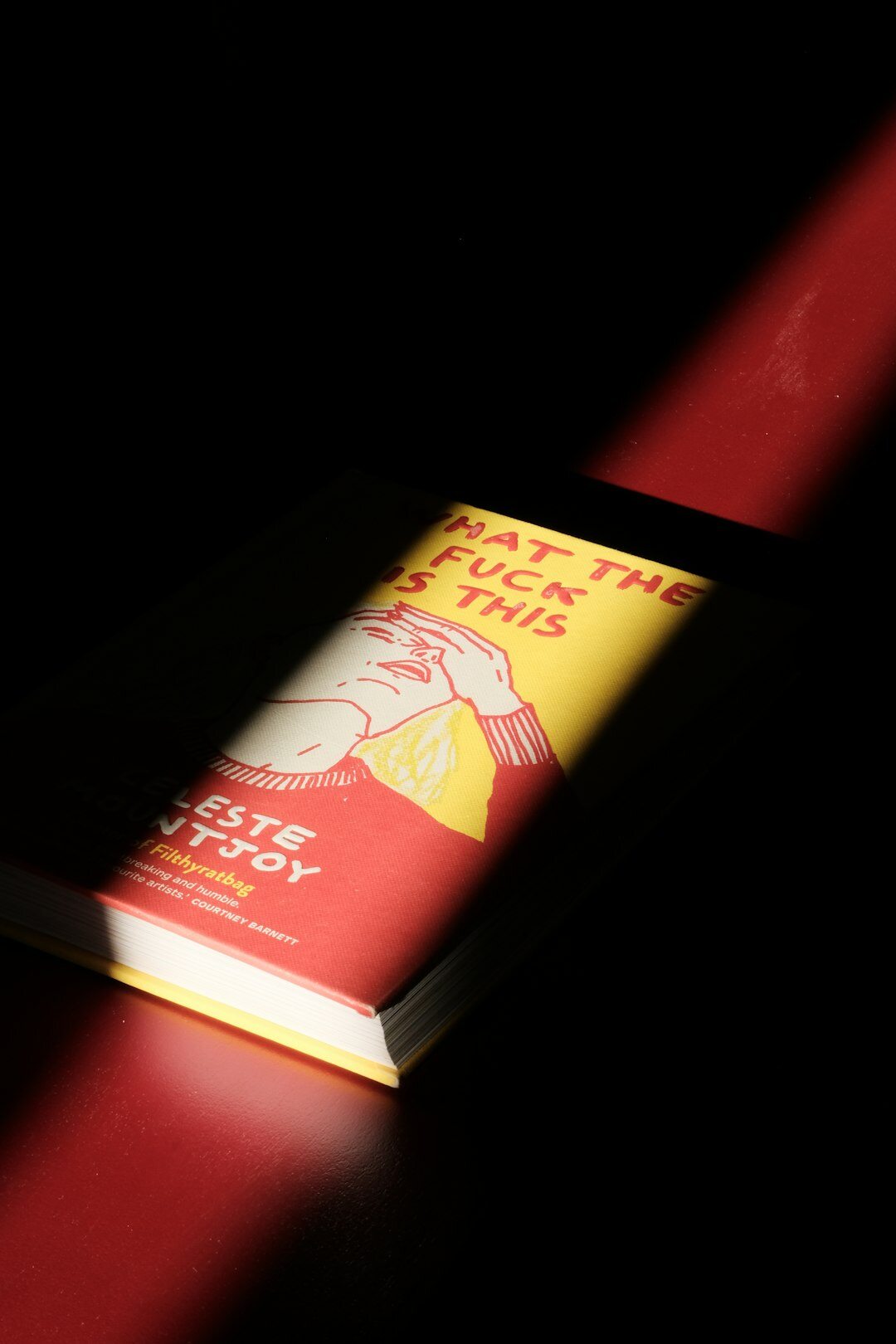 mystery novel cover